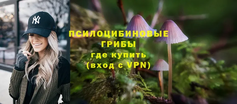 наркота  Ишим  Галлюциногенные грибы Magic Shrooms 